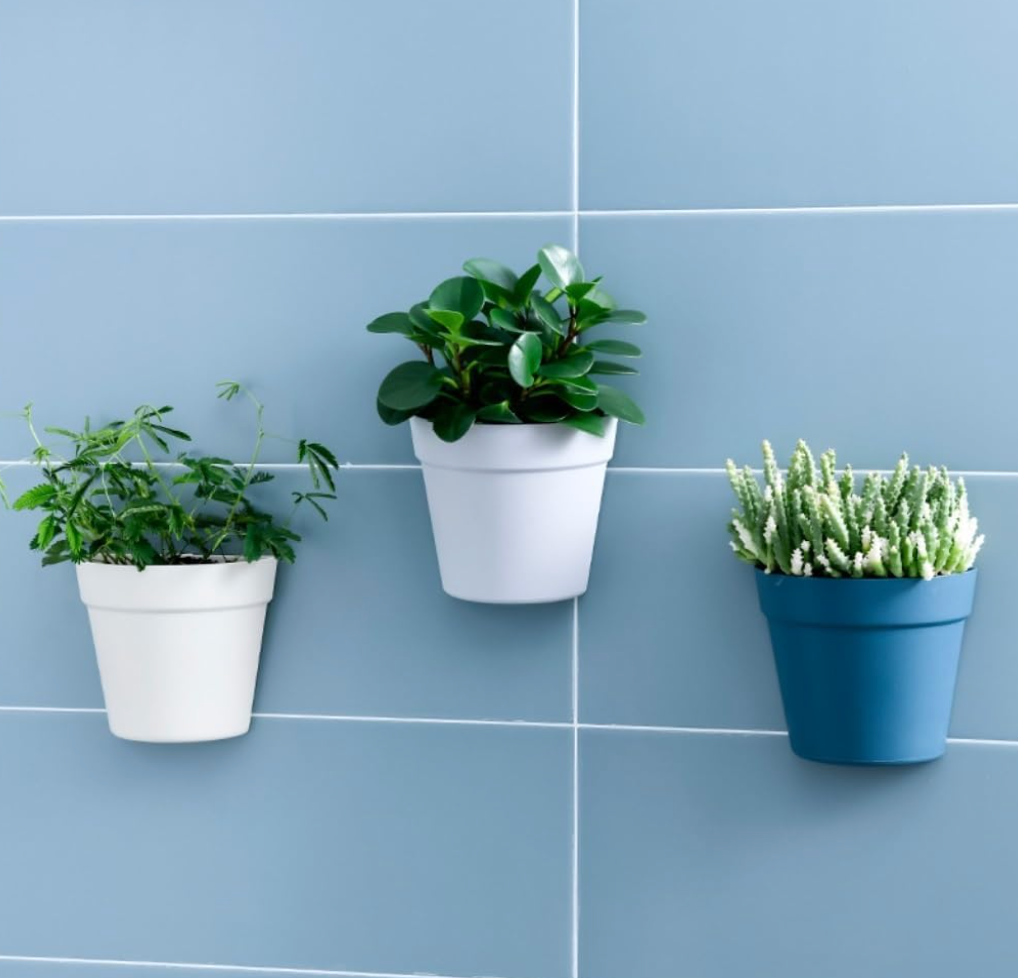 Wall Hanging Flower Pots