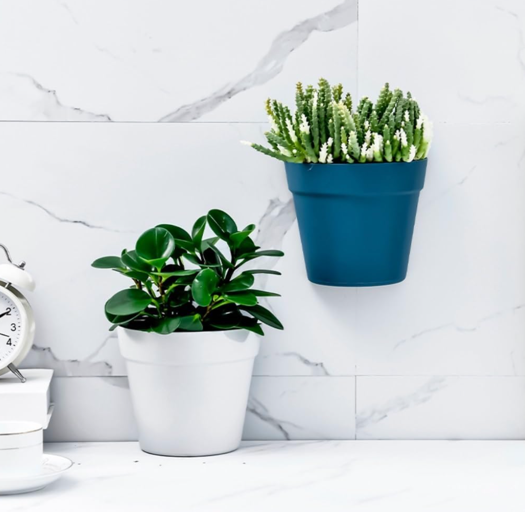 Wall Hanging Flower Pots
