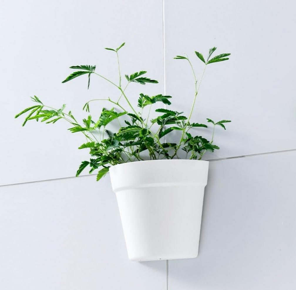 Wall Hanging Flower Pots